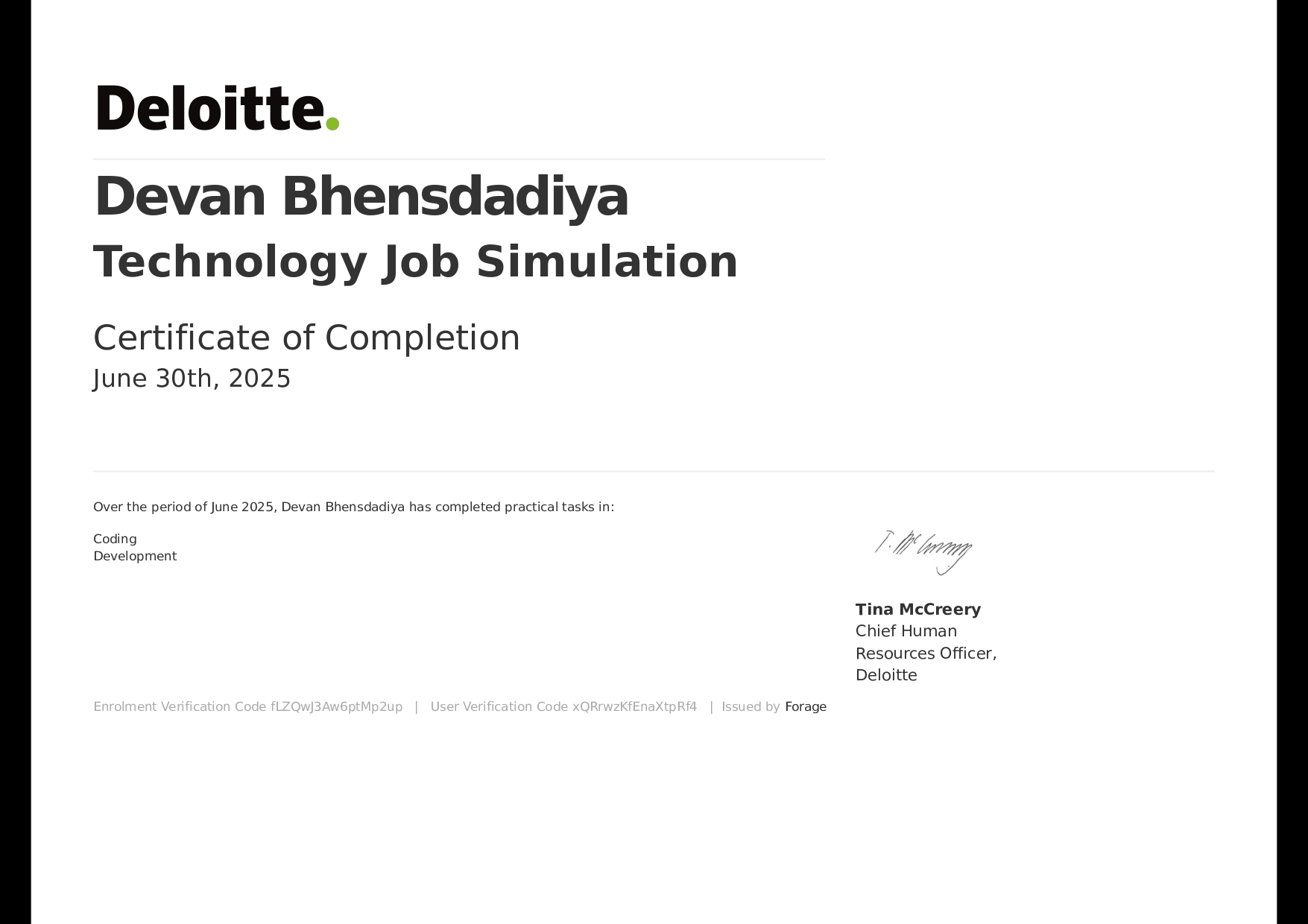Technology Job Simulation
